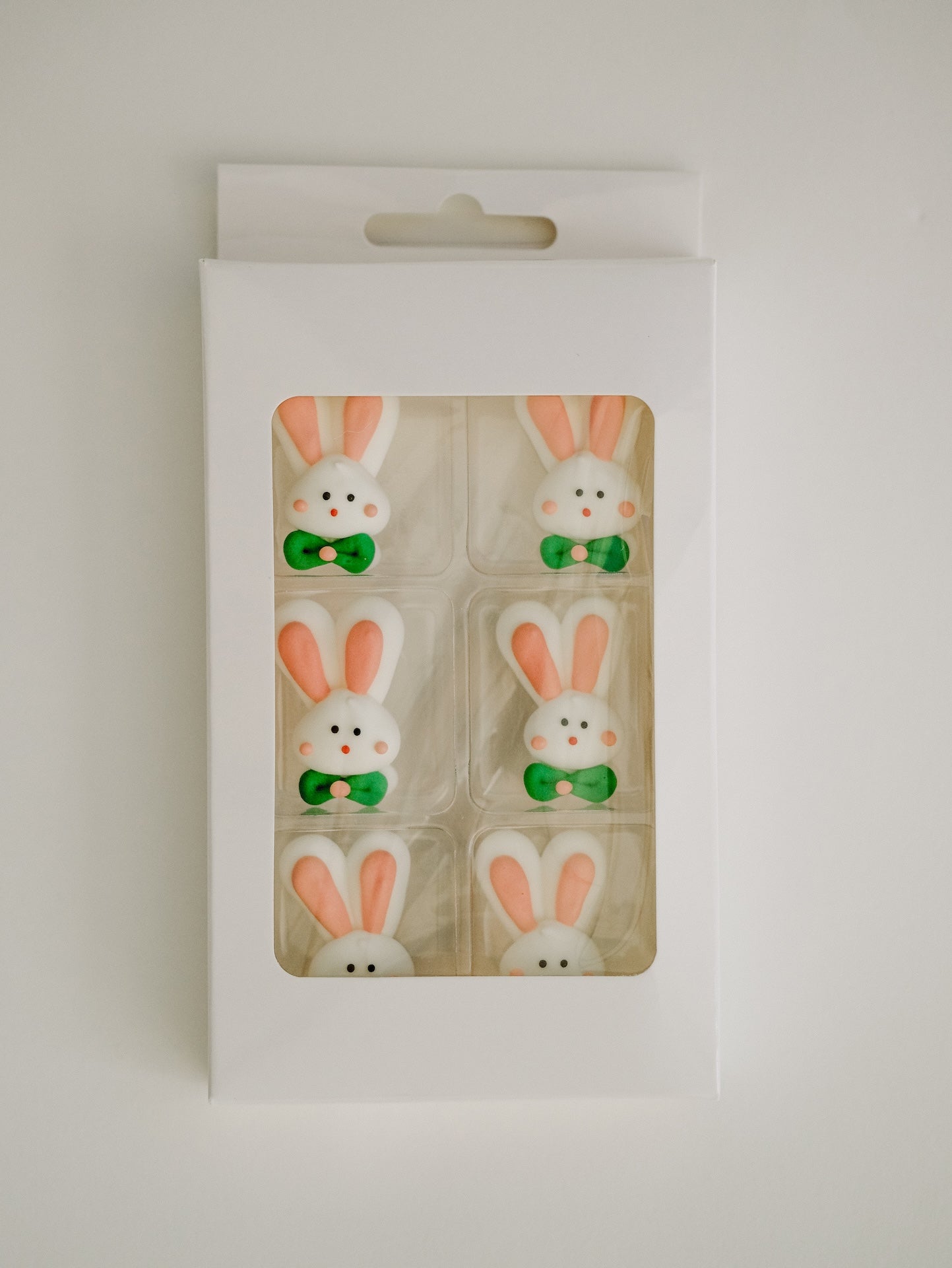Mr. Bunny