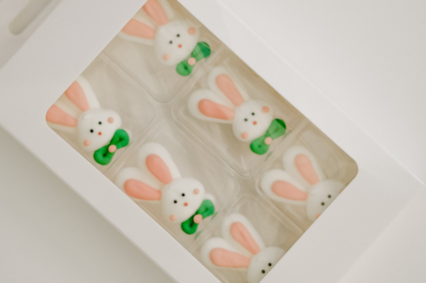 Mr. Bunny