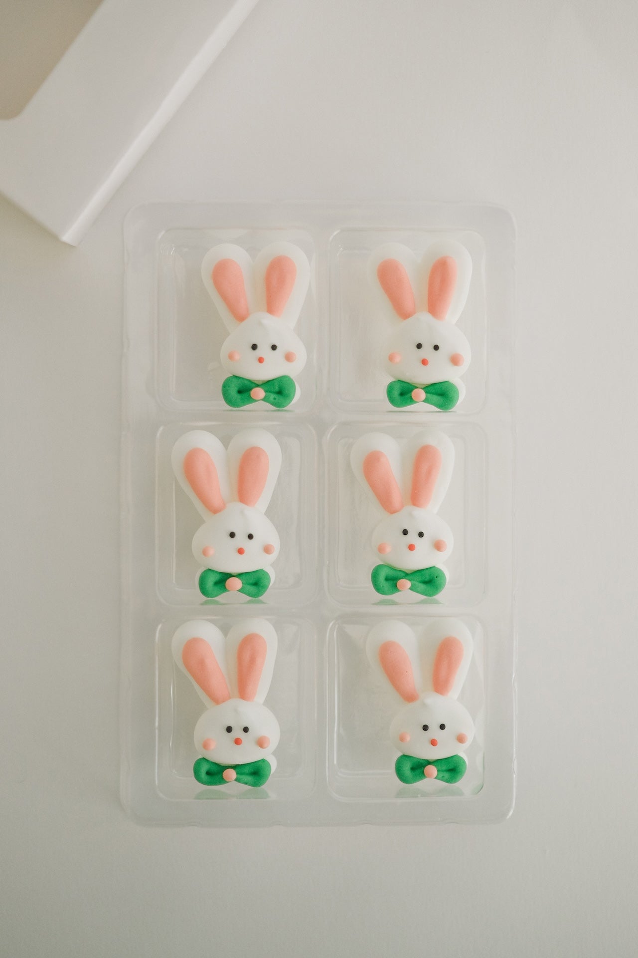 Mr. Bunny