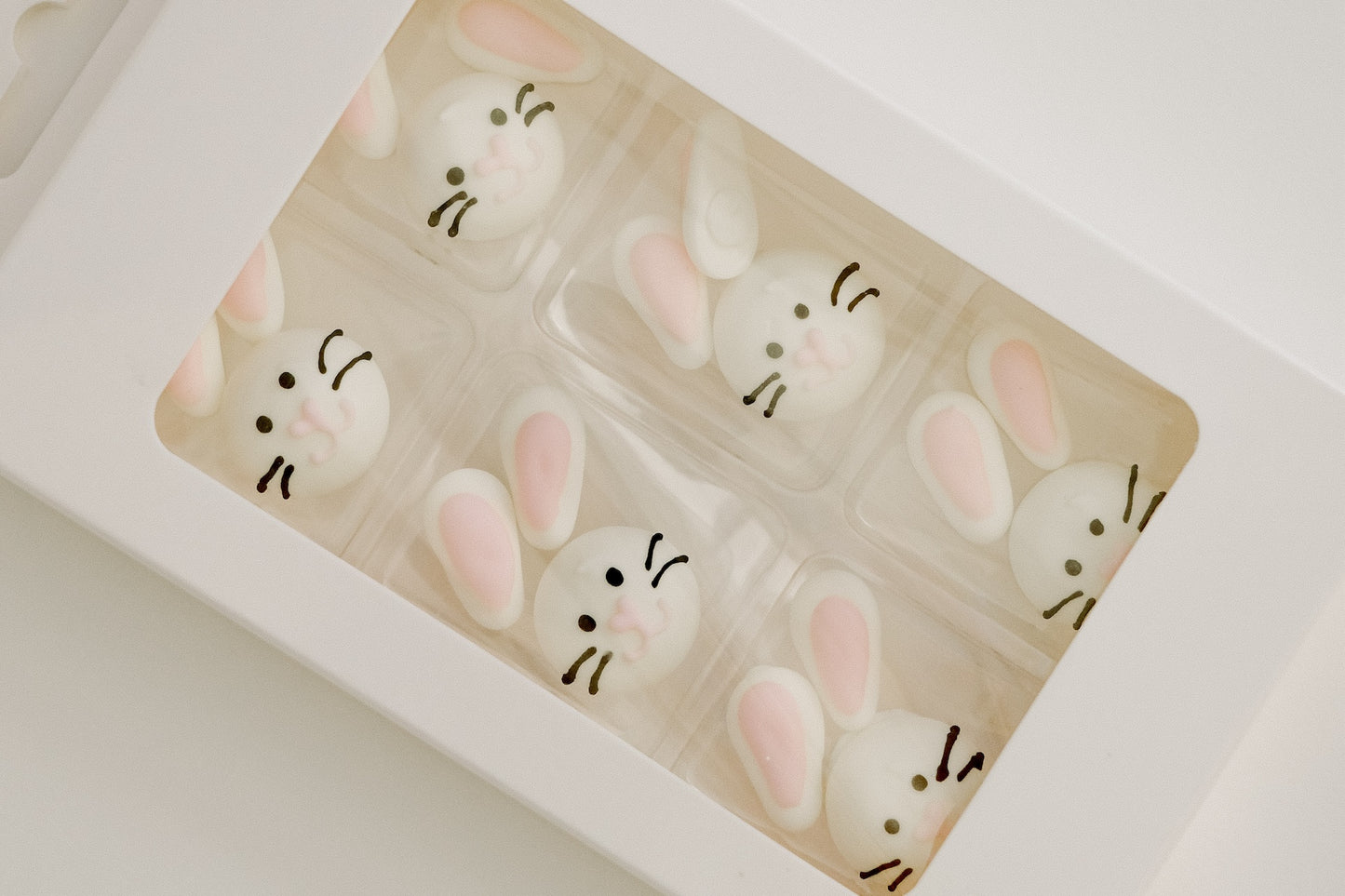 Silly Bunnies
