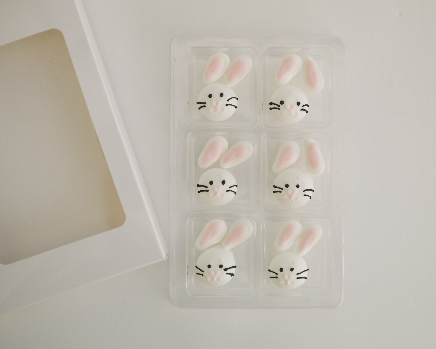 Silly Bunnies