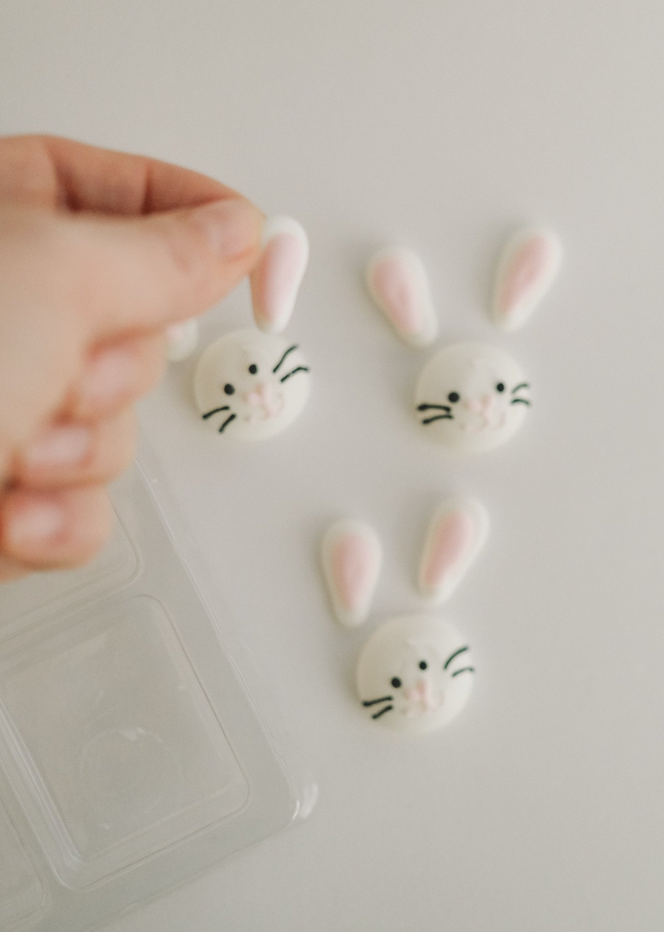 Silly Bunnies