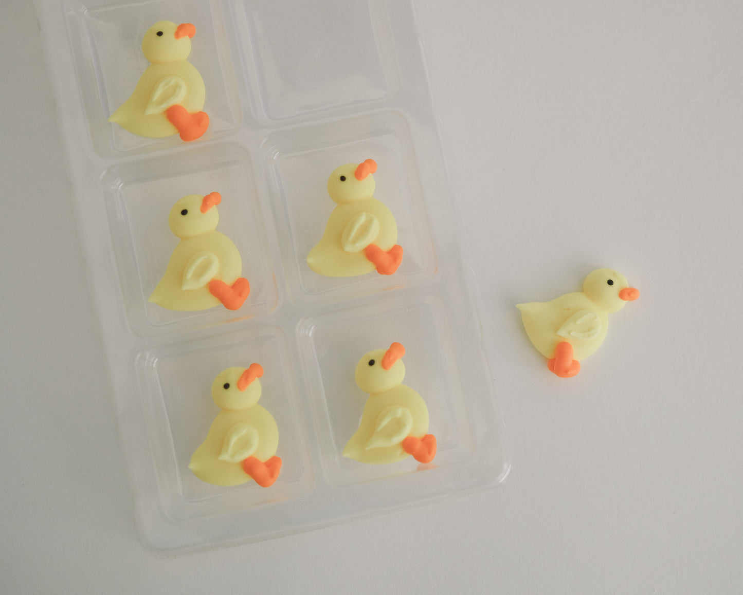 Spring Chicks