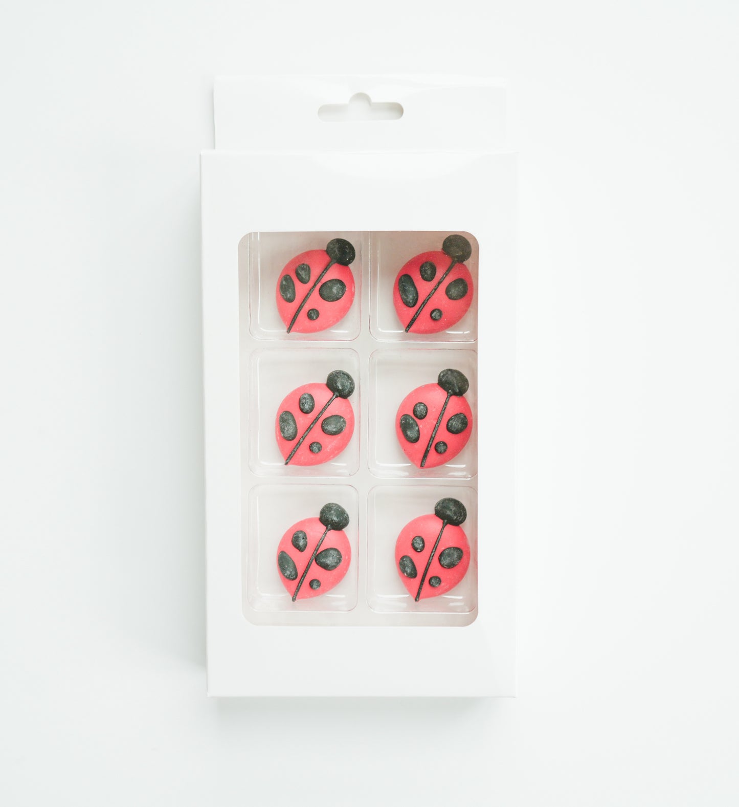 Ladybug