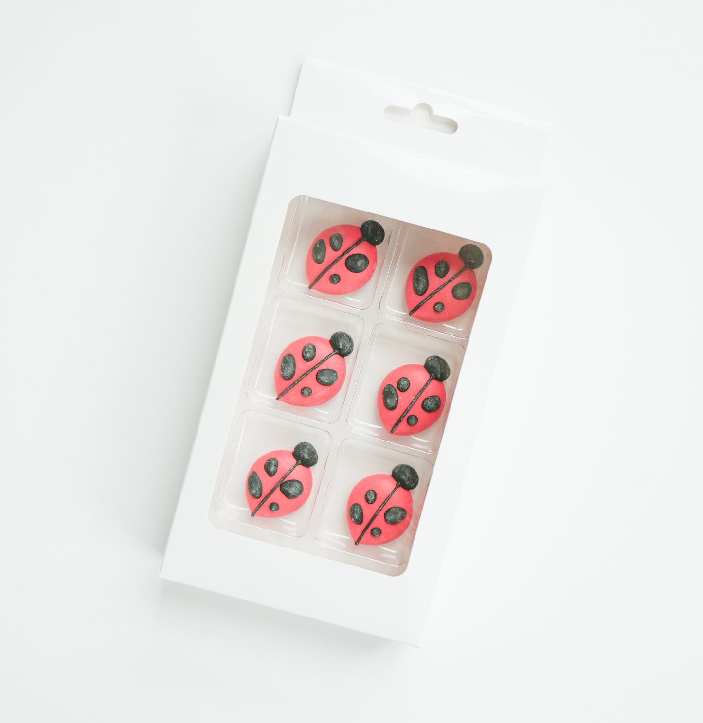 Ladybug