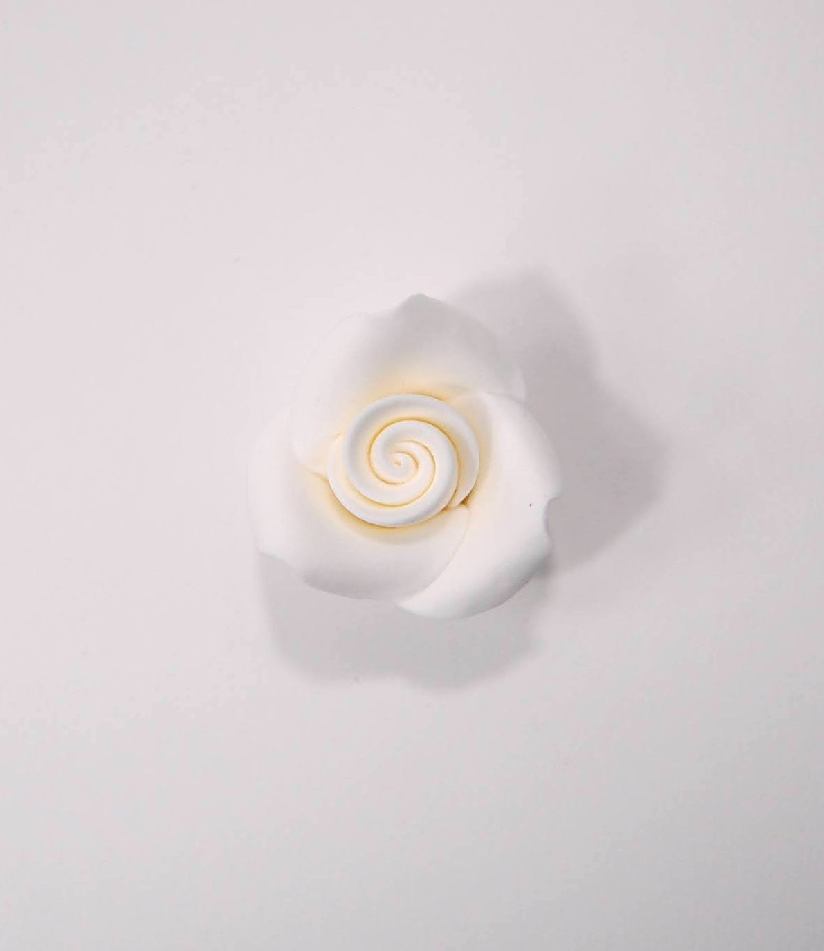 Petite White Roses