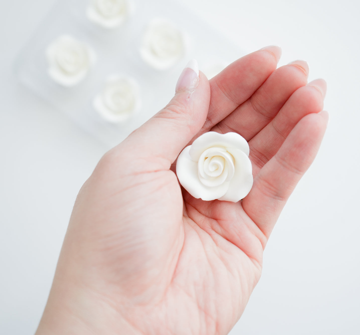 Petite White Roses