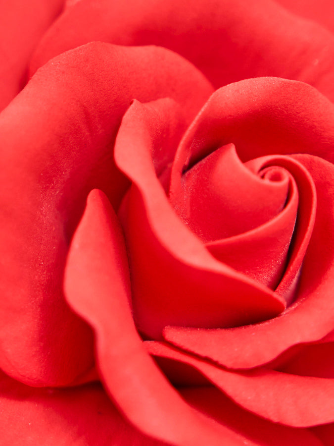 wholesale red gumpaste rose