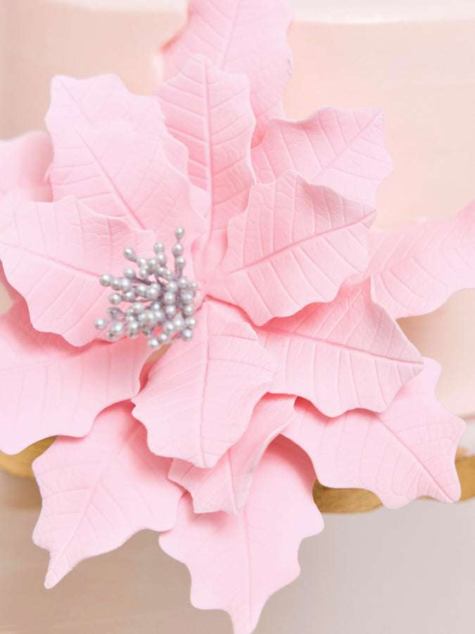 cake decoration for christmas