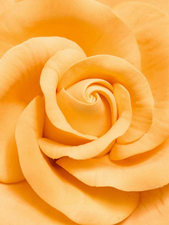orange cake decoration